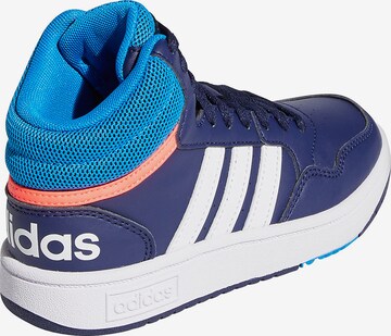 ADIDAS ORIGINALS Sneakers 'Hoops 3.0' in Blue