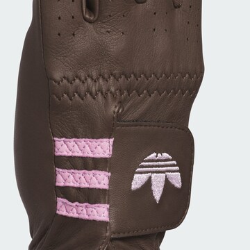 ADIDAS PERFORMANCE Sporthandschoenen in Bruin