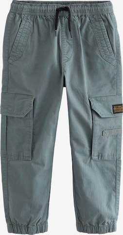 Next Trousers in Blue: front