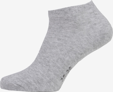 Albert Schäfer Ankle Socks in Grey: front