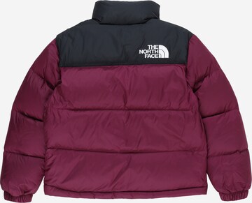 Veste outdoor THE NORTH FACE en violet