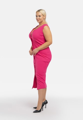 Karko Gebreide jurk 'ALENKA ' in Roze