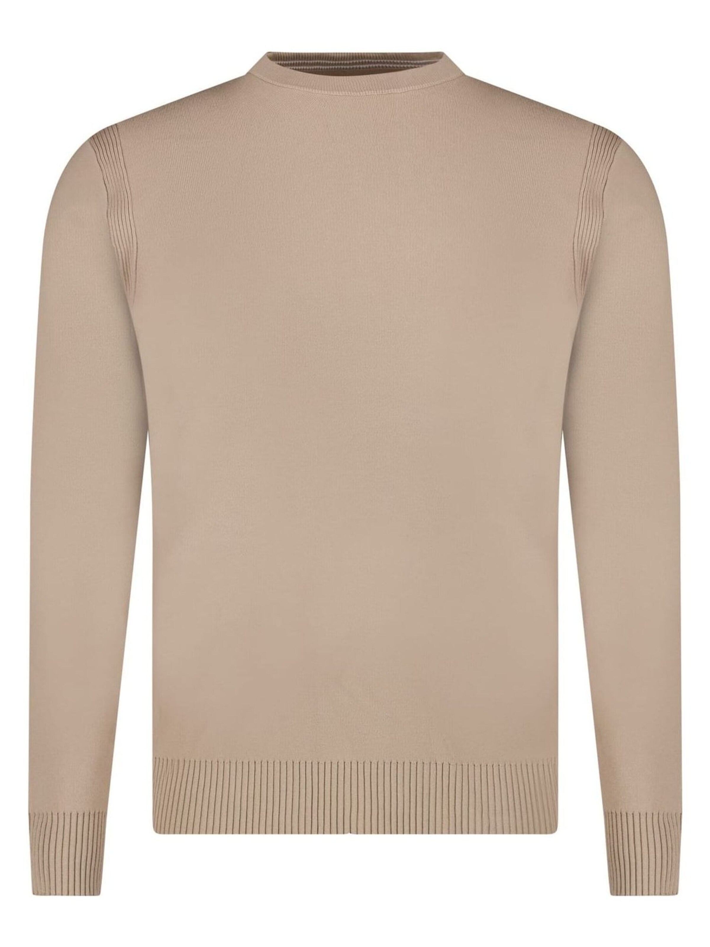 CARS Trui 'Boyer' in Beige: voorkant