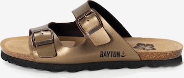 bronzinė Bayton Šlepetės 'Astrakan': priekis