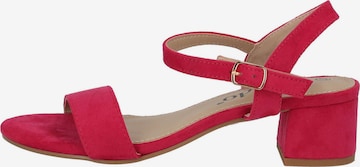 Sandales 'Cinv' Palado en rouge