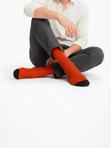The Arctic Bay - Calcetines 'SHINRIN EDITION Gift box 4 Pack Unisex' en Mezcla de colores