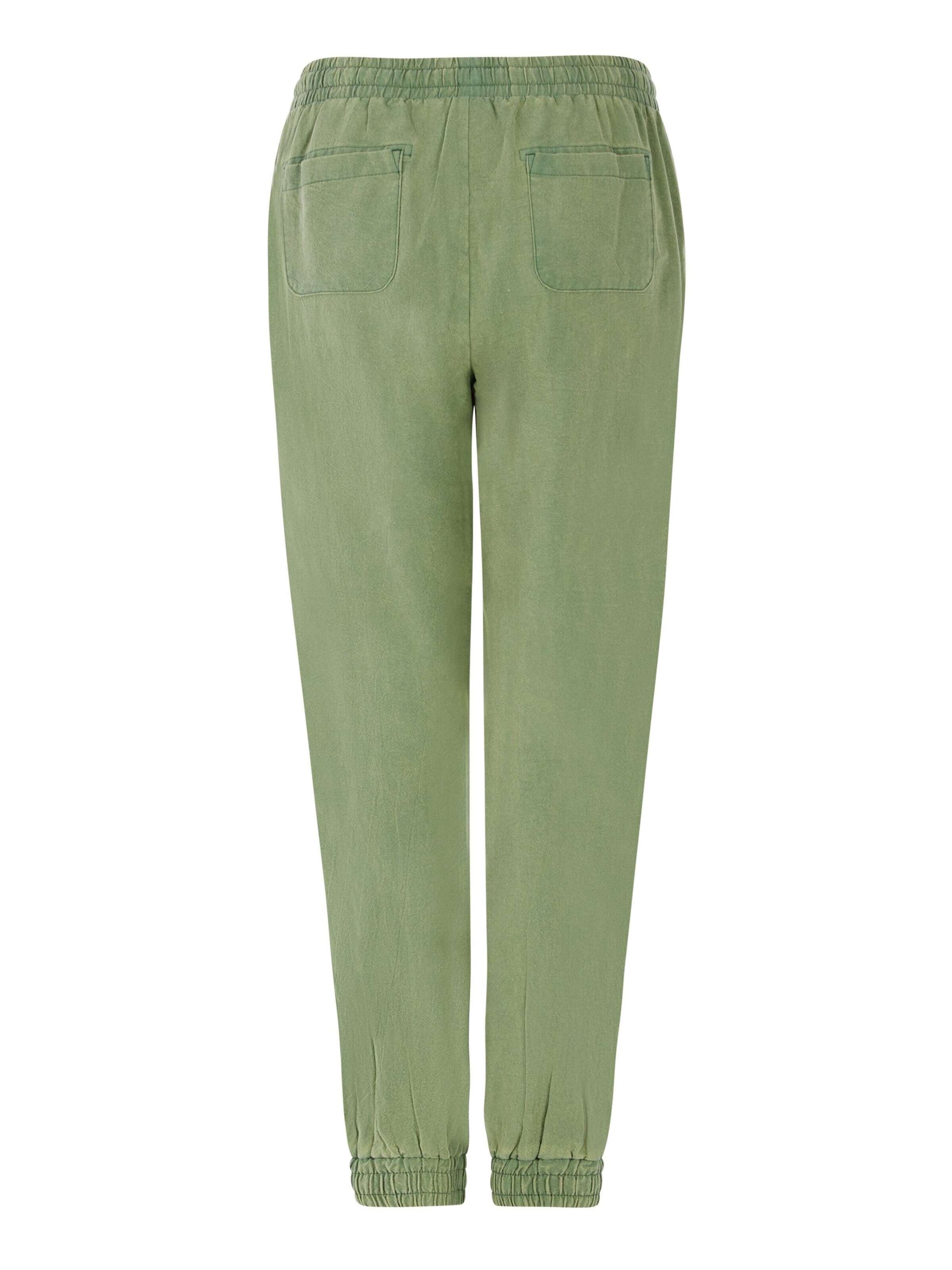 PROTEST Regular Pants 'PRTExline' in Green