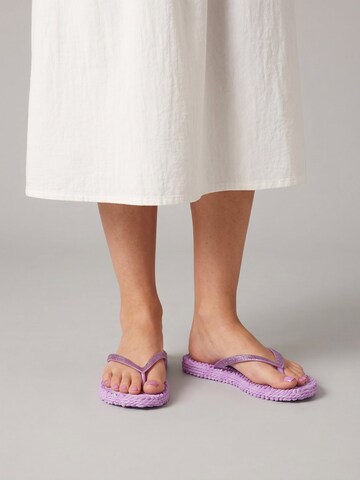 Sandales 'CHEERFUL01' ILSE JACOBSEN en violet : devant