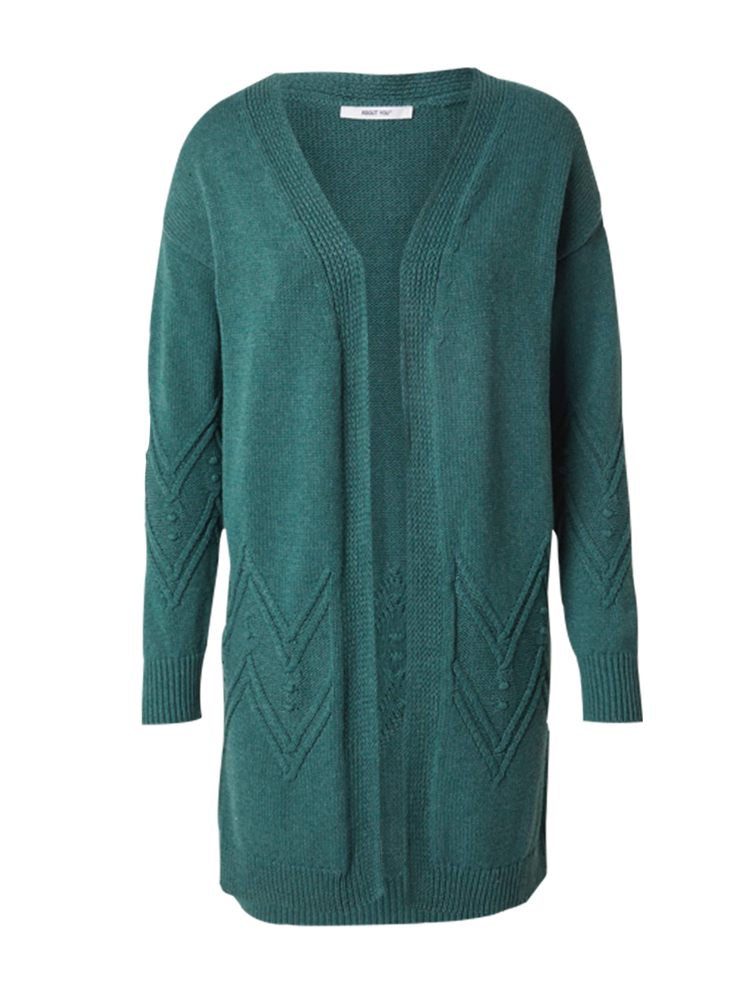 ABOUT YOU Вязаная кофта 'Delphine' в Зеленый: спереди