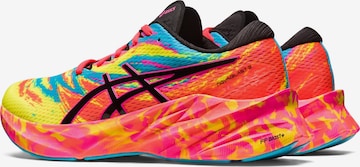 ASICS Running Shoes 'Novablast 3 ' in Mixed colors