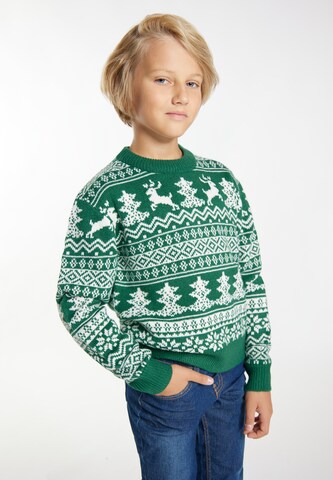 MO Sweater 'Mimo' in Green: front