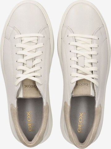 GEOX Sneakers in White