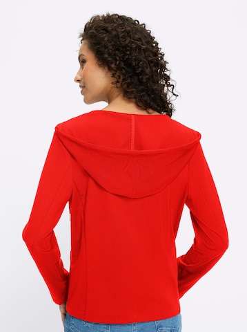 heineSako - crvena boja