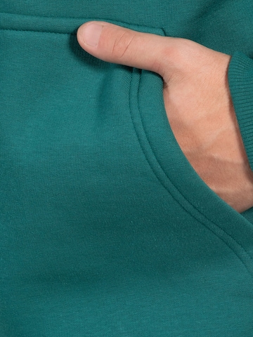 Smilodox Sweatshirt in Green
