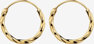FIRETTI Ohrringe in Gold: Vorderseite