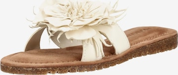 Zoccoletto di LAZAMANI in bianco: frontale