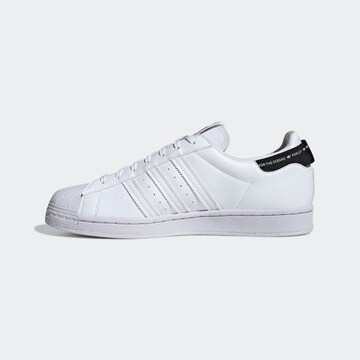 Baskets basses 'Superstar' ADIDAS ORIGINALS en blanc