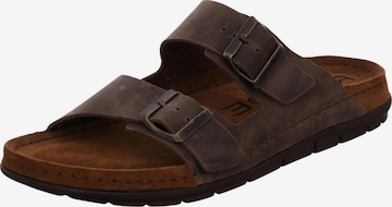 ROHDE Mules 'Rodigo' in Brown: front