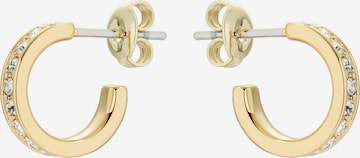 Boucles d'oreilles 'SEENITA' Ted Baker en or