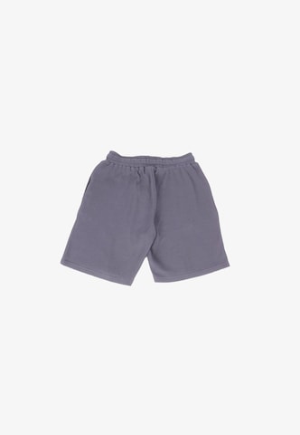Dropsize - Loosefit Calças em cinzento