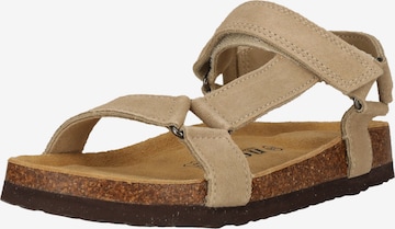 NOU Sandal 'Cyprian' in Grey: front
