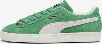 Baskets basses PUMA en vert : devant