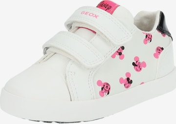 GEOX Sneakers in White: front