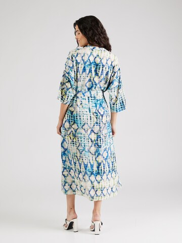 Robe Emily Van Den Bergh en bleu