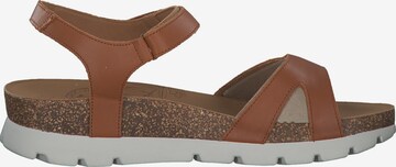 PANAMA JACK Sandals 'Sulia' in Brown