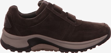 Pius Gabor Athletic Lace-Up Shoes in Brown