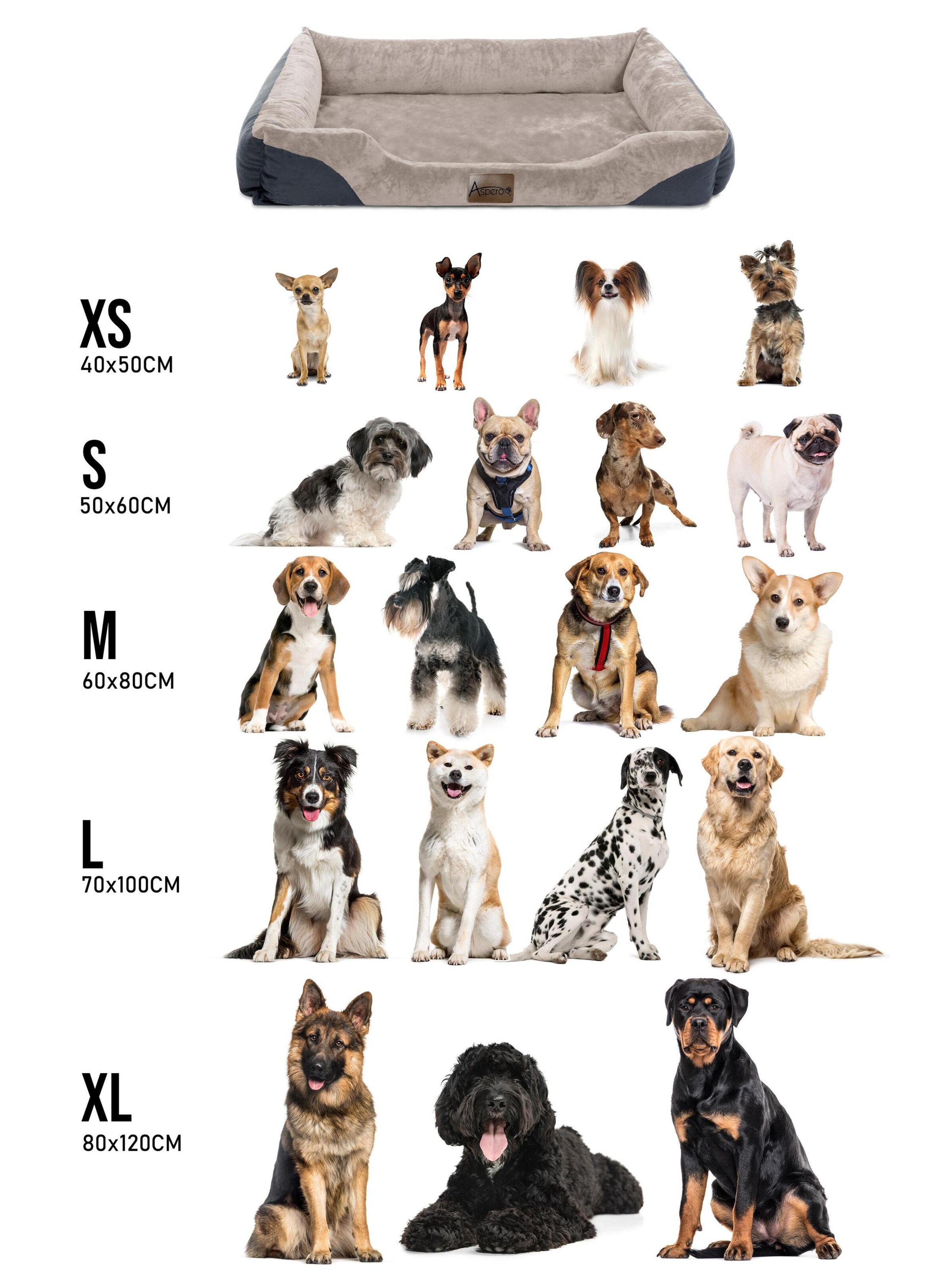 Aspero Accessoires voor dieren 'Hanko' in Beige