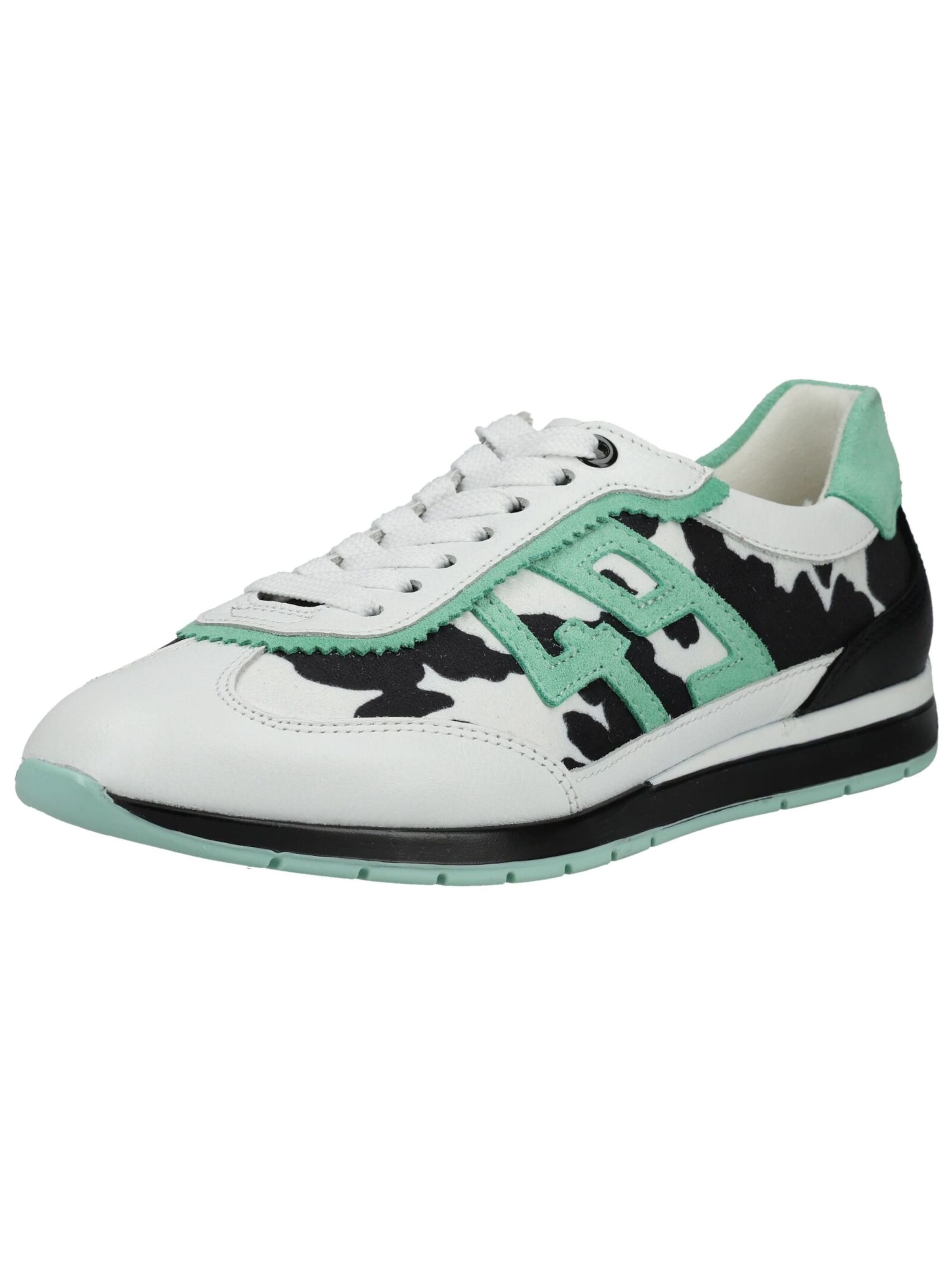 Baskets basses ARA en blanc : devant