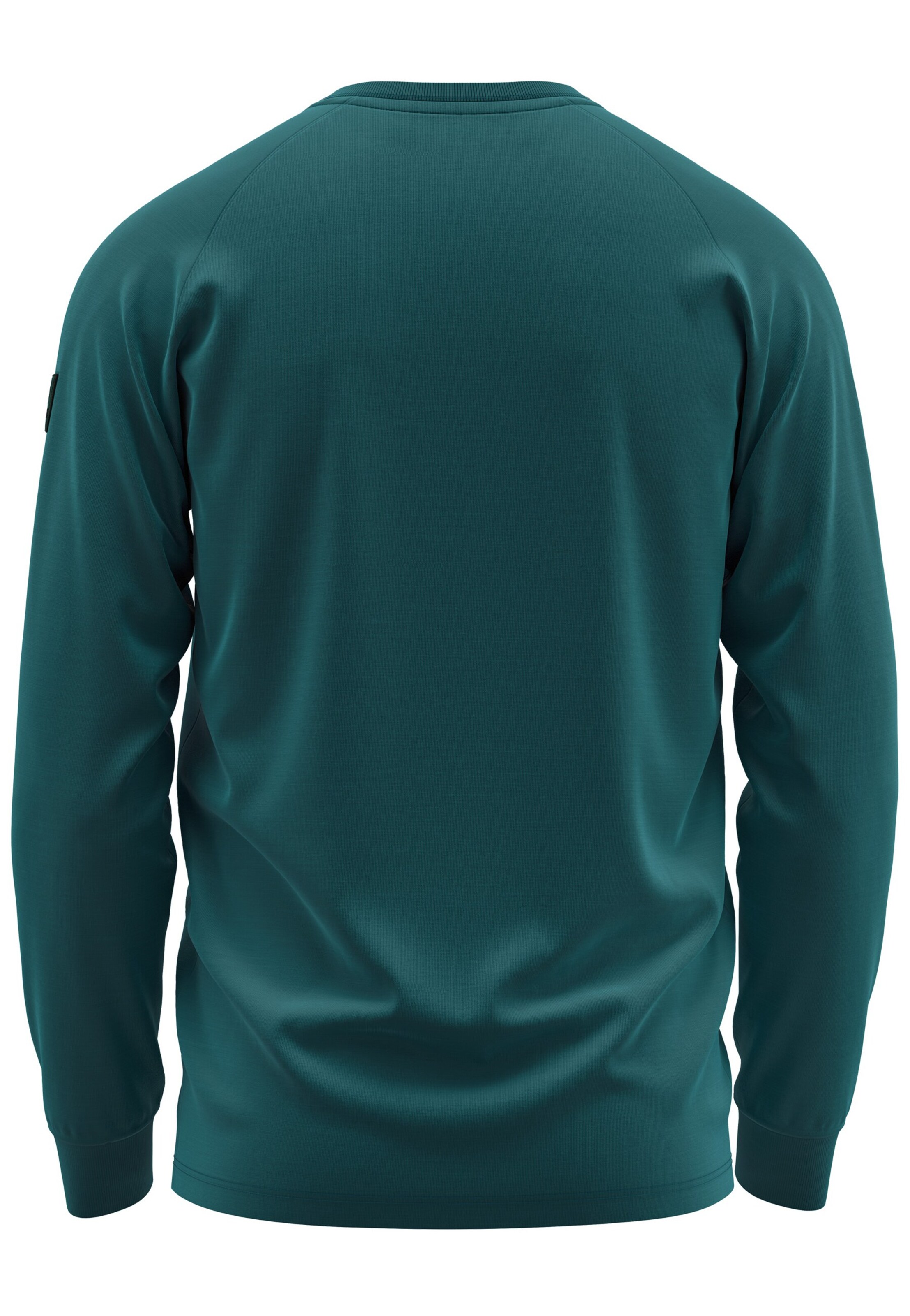 FORSBERG Sweatshirt in Green