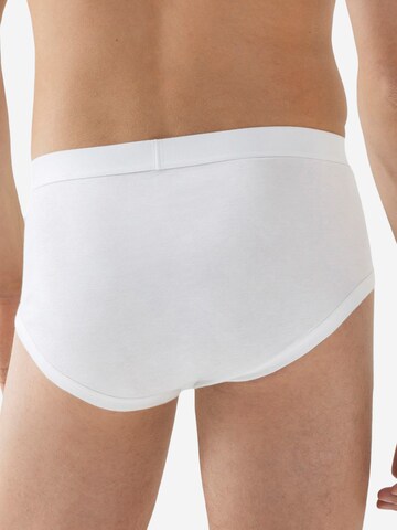 Mey Slip 'Casual Cotton' in White