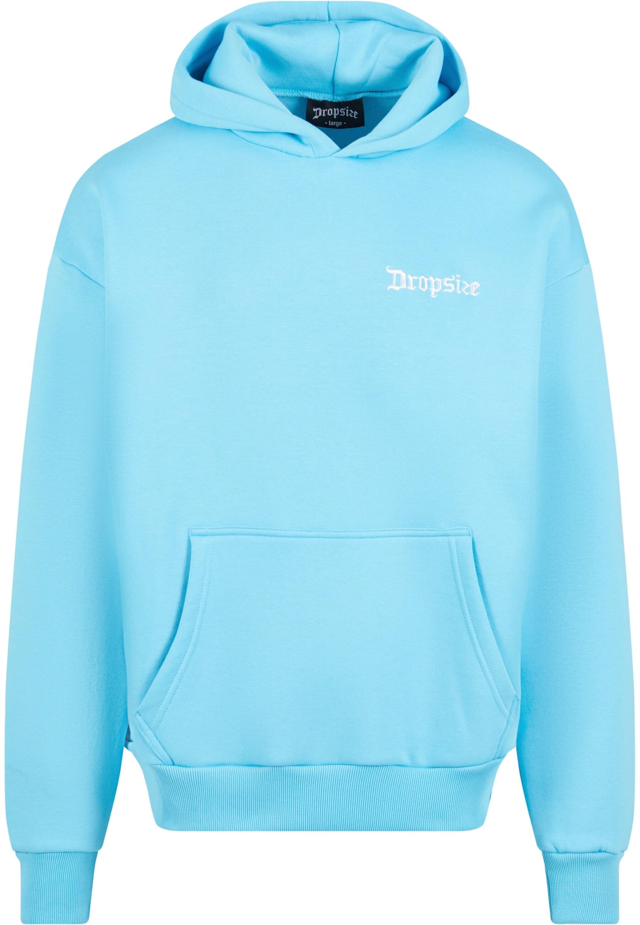 Dropsize Sweatshirt in Blue: front