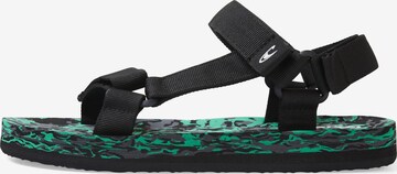 O'NEILL Sandals in Black: front