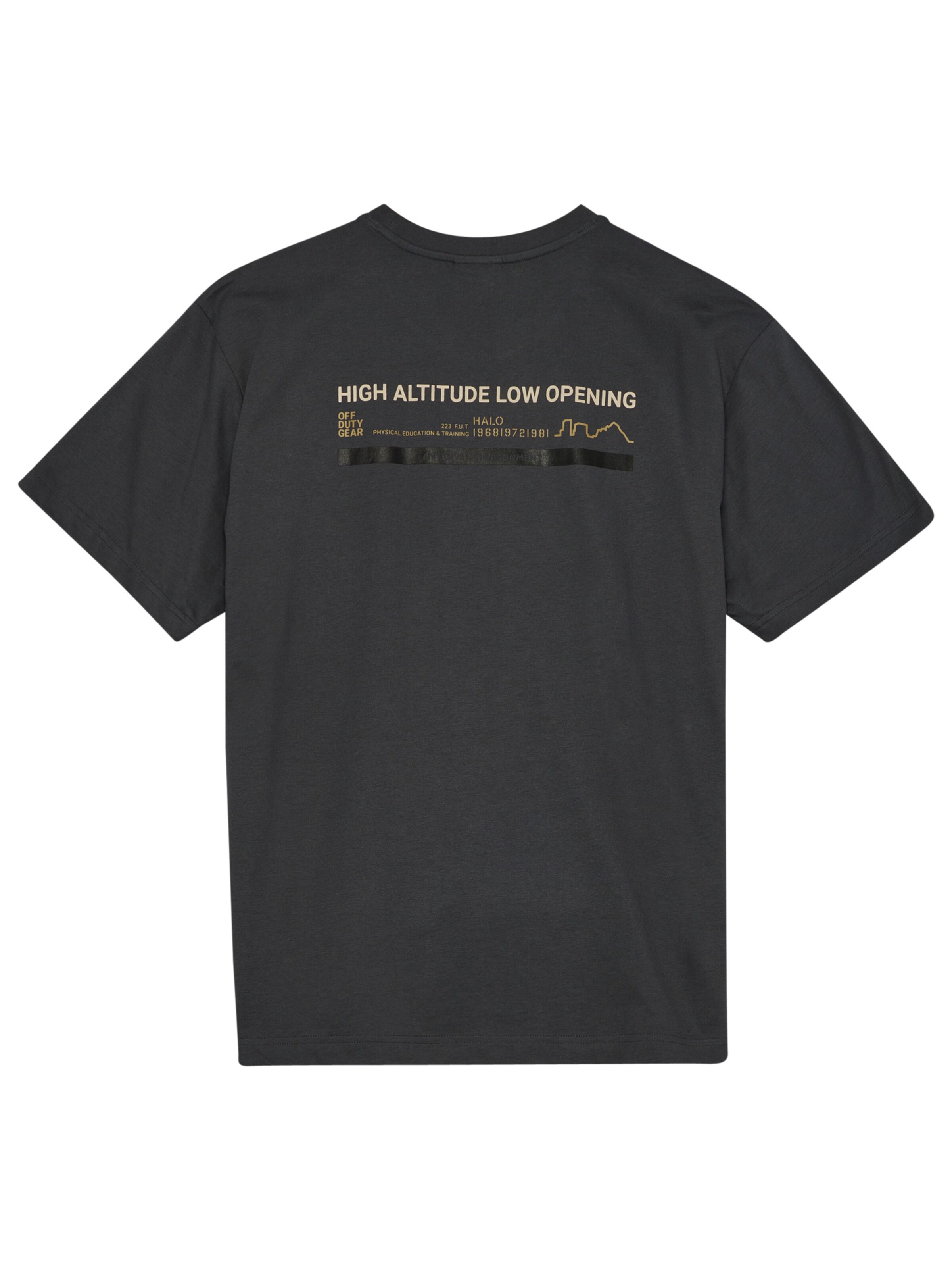 HALO T-Shirt in Grau