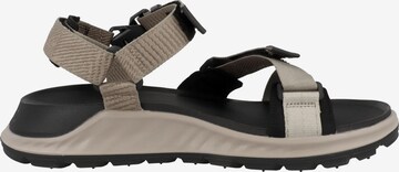 ECCO Wandelsandalen in Beige