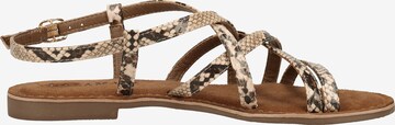 LAZAMANI Sandals in Brown