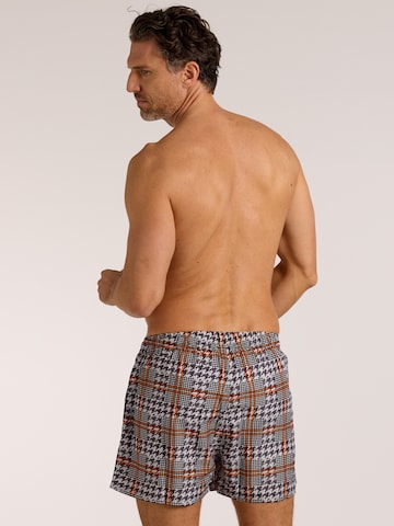 wavebreaker Board Shorts in Black