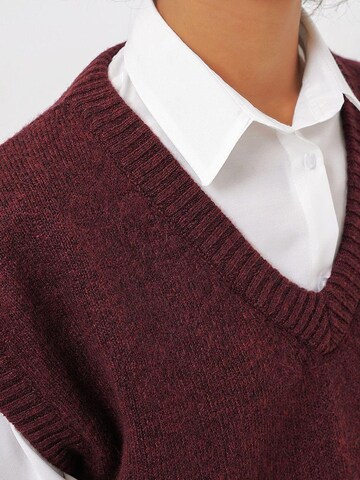 Bigdart Bodywarmer in Rood