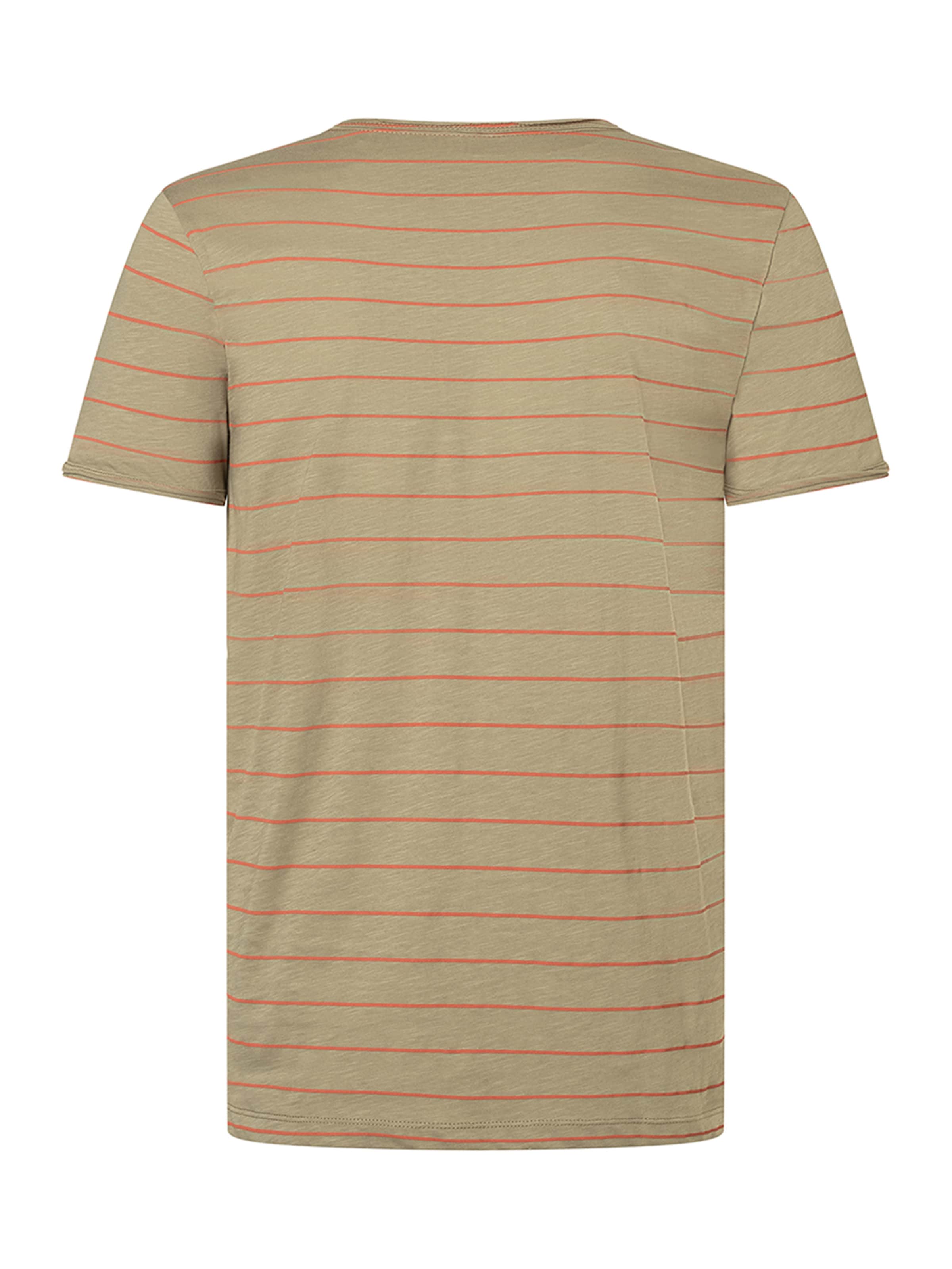 TIMEZONE Shirt 'Pin Stripe' in Green