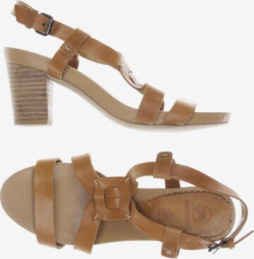 SALAMANDER Sandals & High-Heeled Sandals in 37 in Brown: front