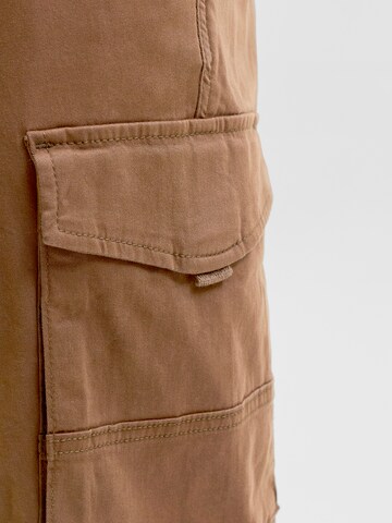 Effilé Pantalon cargo 'JJIPaul JJFlake' JACK & JONES en marron