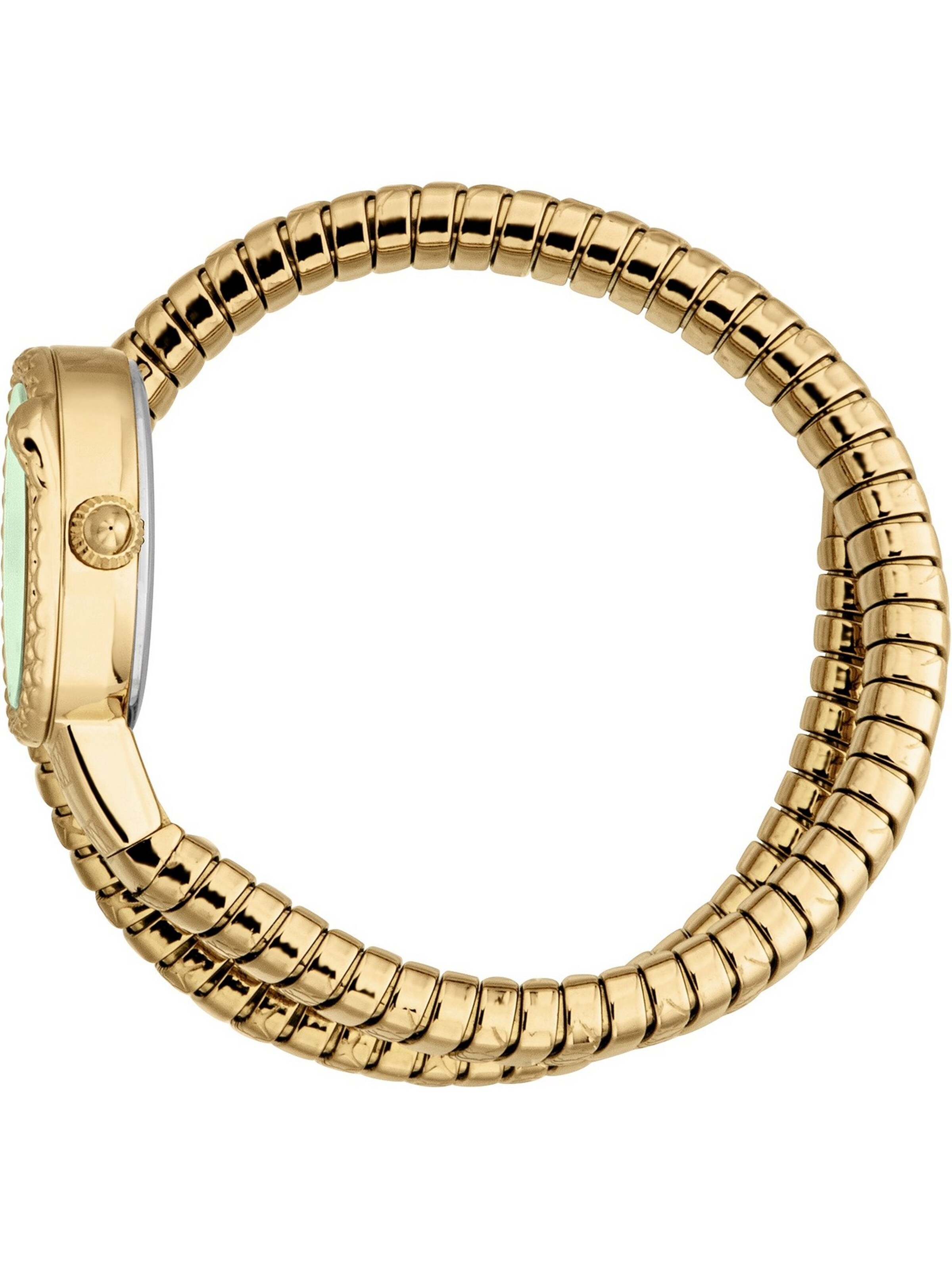 Just Cavalli Uhr in Gold