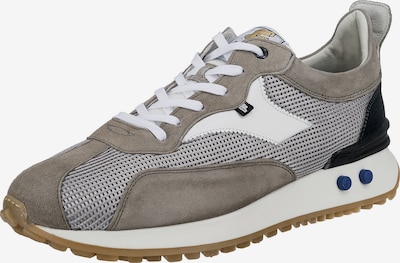 Floris van Bommel Vinti Sneakers Low in grau, Produktansicht