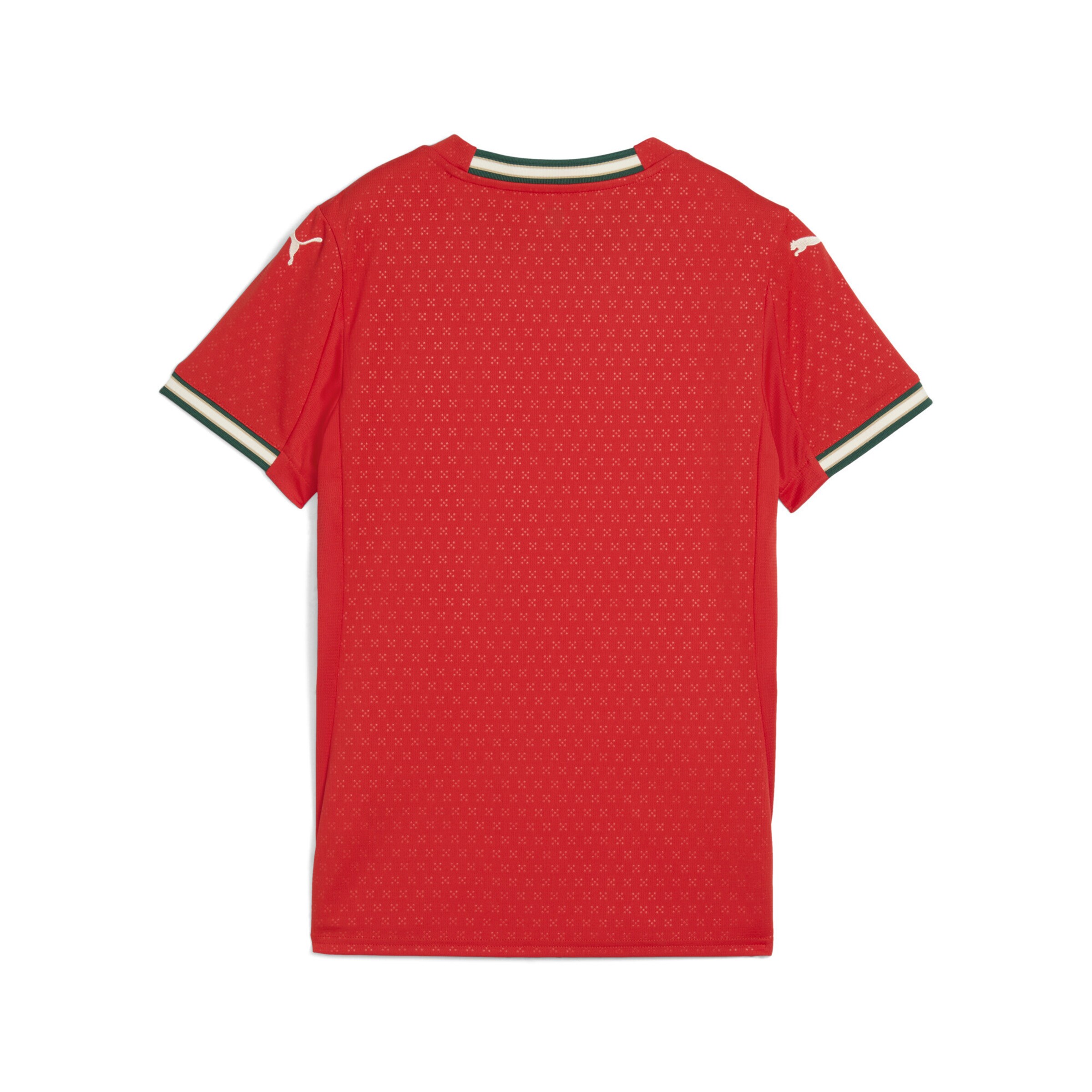 PUMA Trikot 'Portugal 2025 Heim' in Rot