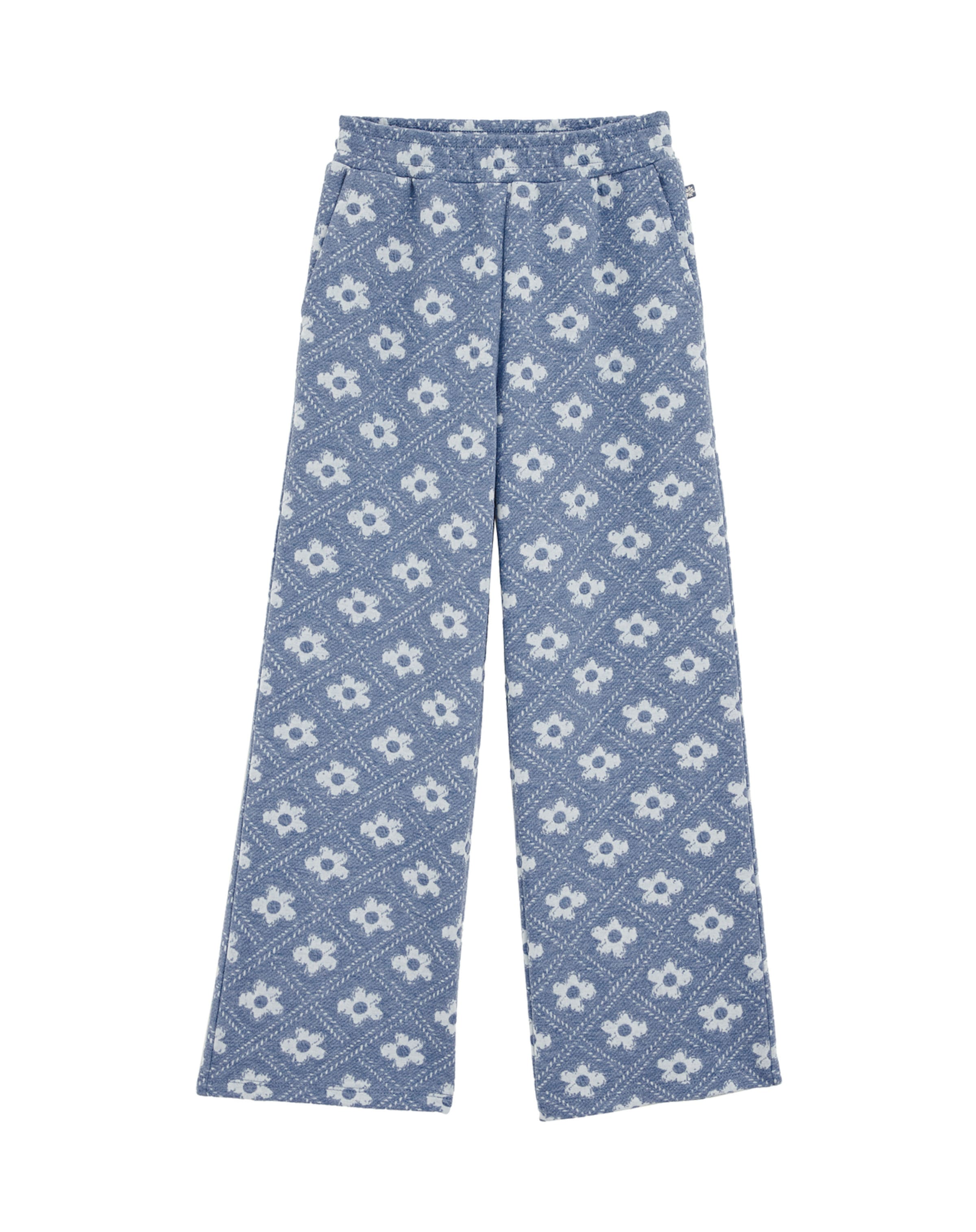 WE Fashion Ohlapna forma Hlače | modra barva: sprednja stran