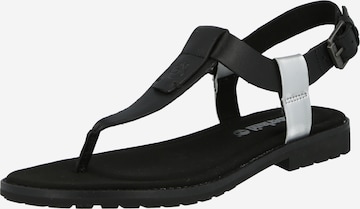 TIMBERLAND T-Bar Sandals in Black: front