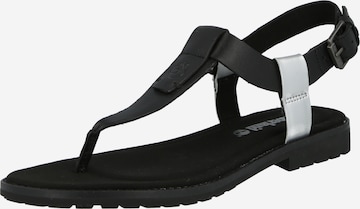 TIMBERLAND T-bar sandals in Black: front